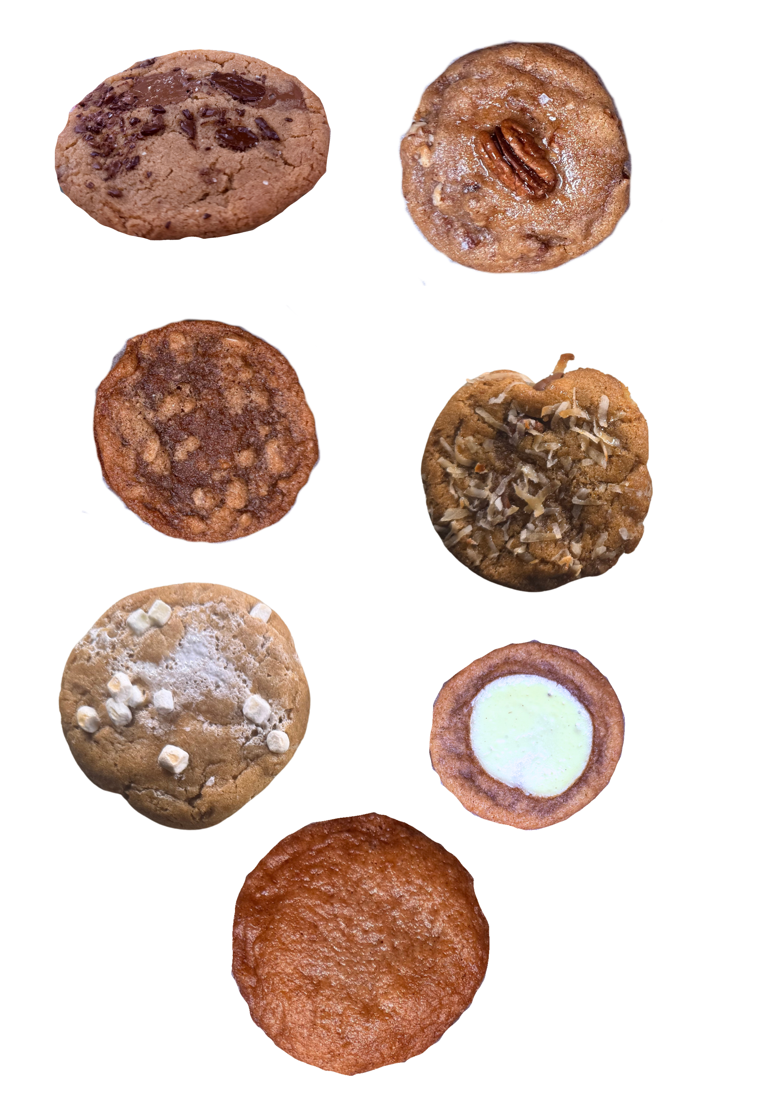 Chocolate Chip